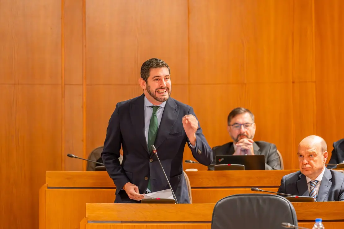El portavoz de Vox en las Cortes, Alejandrom Nolasco, este lunes