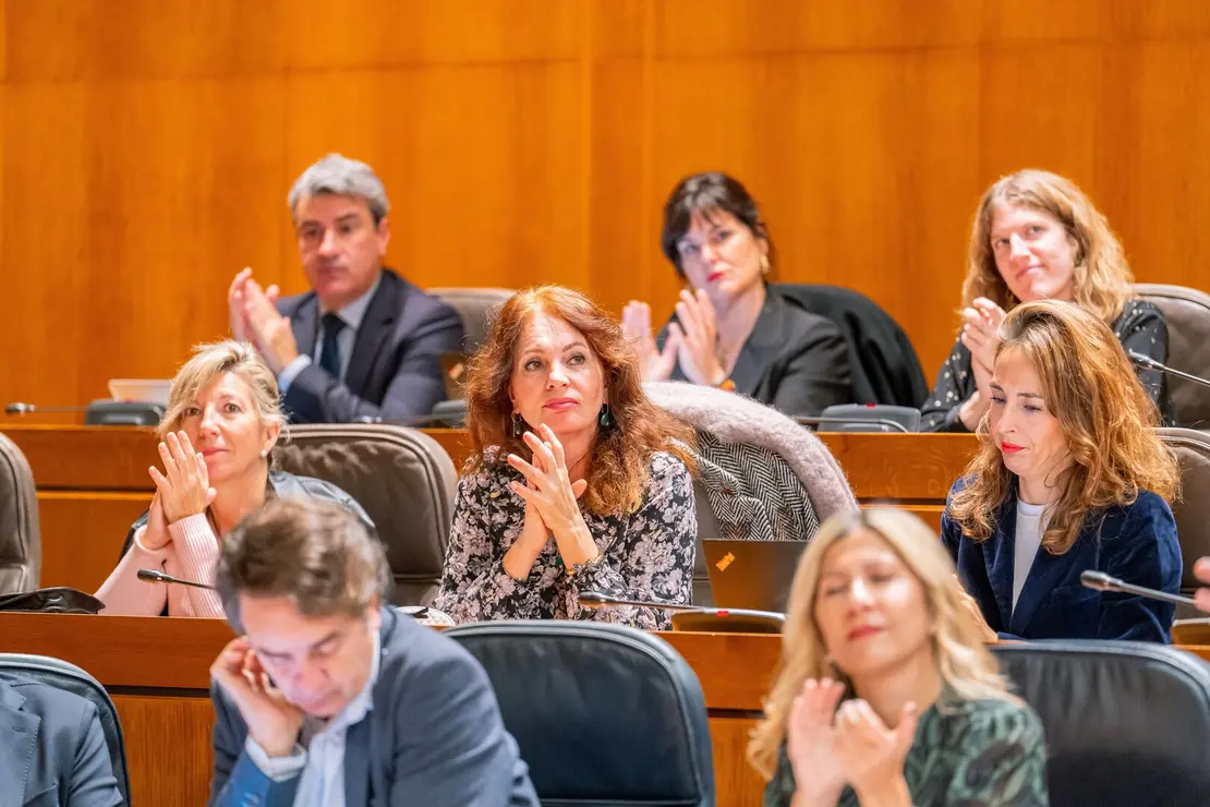La bancada del Partido Popular en el pleno de este lunes