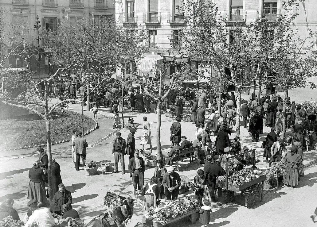 PLAZA DE SAN PEDRO NOLASCO