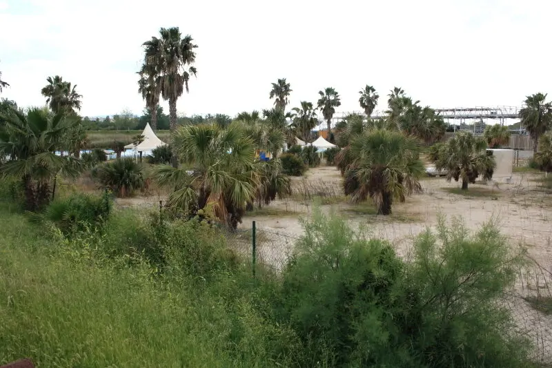 Parque_Playas_2025_00000008