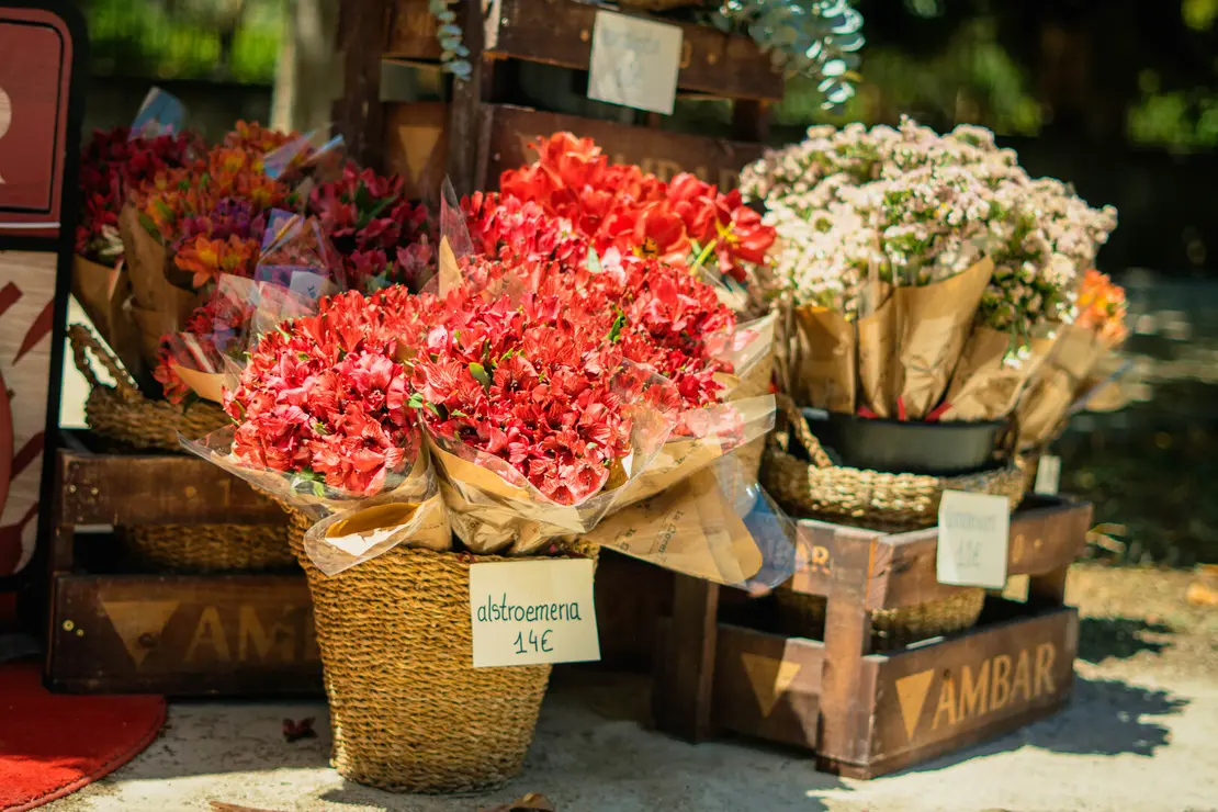 250524_FLOWERBARAMBAR_fotoCELIAMONTERO-89