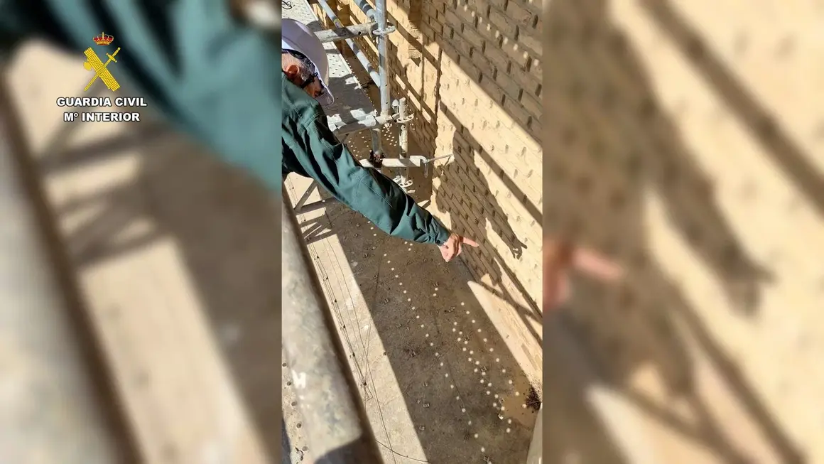 Nido de cern&iacute;calos en una torre del Pilar / V&iacute;a Guardia Civil