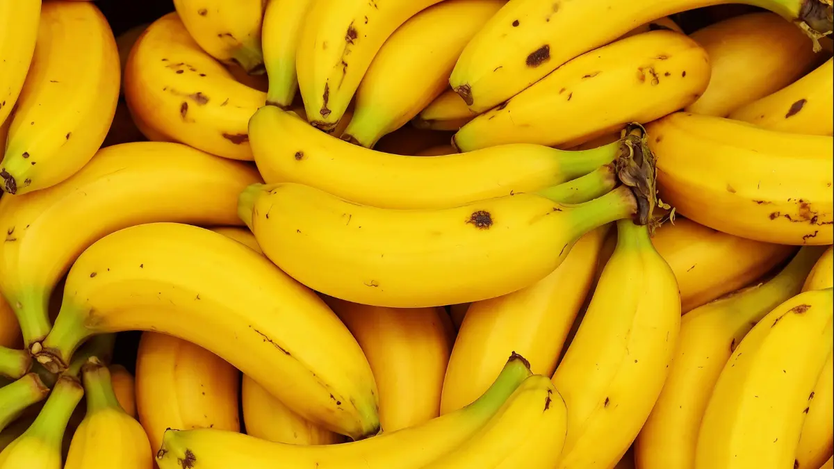 El origen del Pl&aacute;tano de Canarias de Mercadona: compra 70 millones de kilos para sus tiendas.