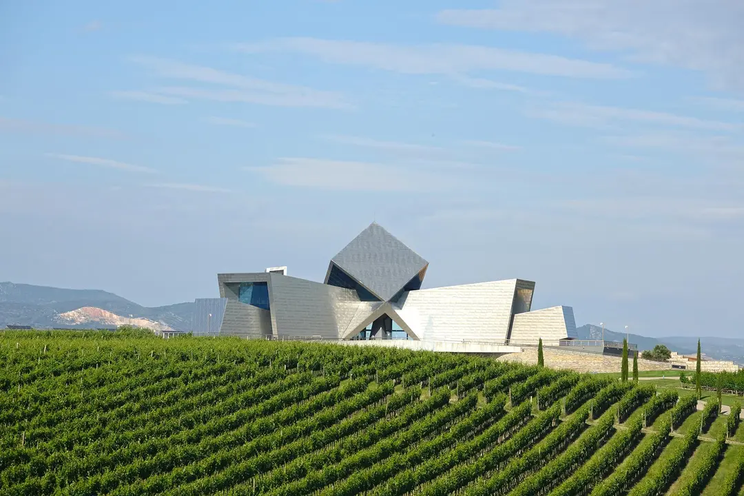 El sector del enoturismo tiene un fuerte potencial en Arag&oacute;n / Bodega Sommos