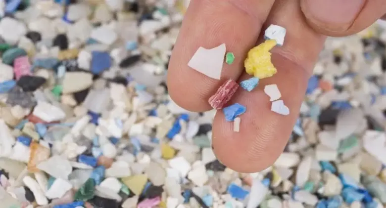 El proyecto internacional contra los micropl&aacute;sticos