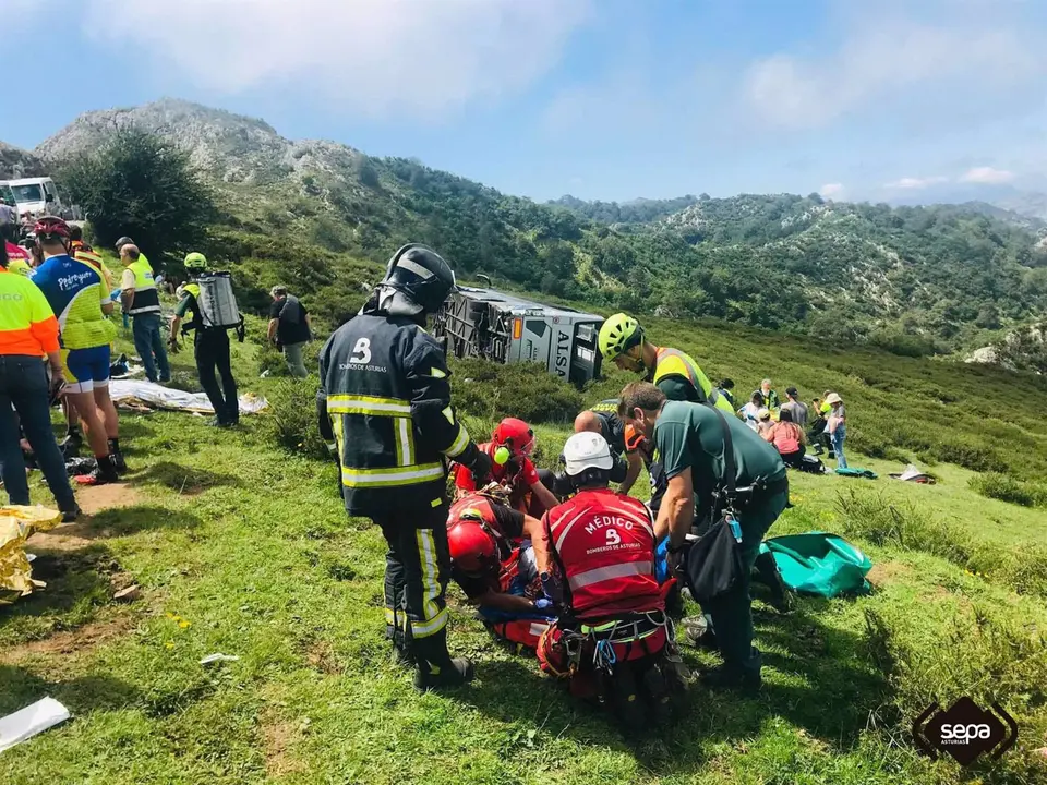 Accidente en la carretera a Lagos de Covadonga / SEPA