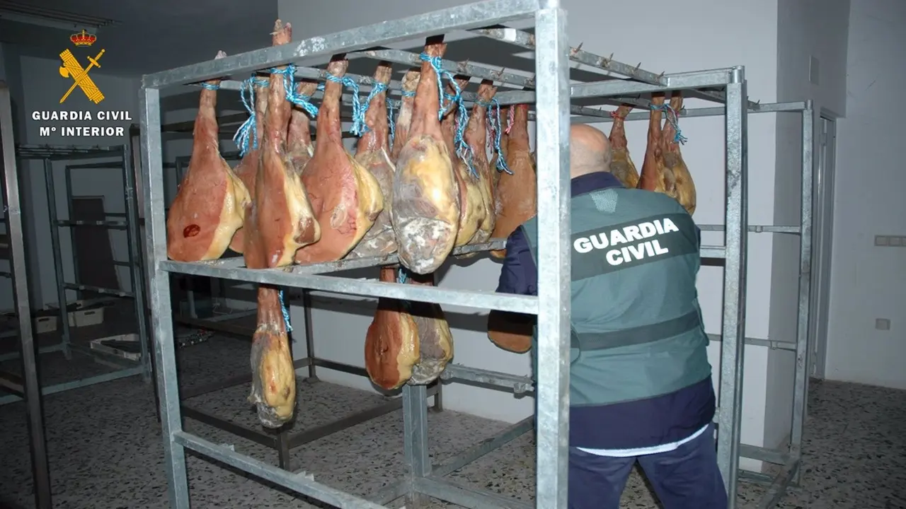 Operaci&oacute;n Pizca' en Illueca / GC
