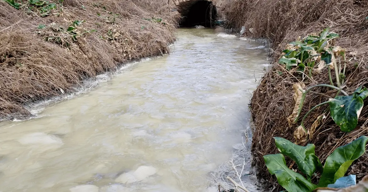 El agua que sale del embalse de El Val, de las m&aacute;s contaminadas de Espa&ntilde;a / Ecologistas en Acci&oacute;n
