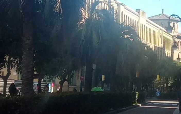 Imagen de la c&eacute;ntrica calle zaragozana Conde Aranda donde sucedieron los hechos /H.A.