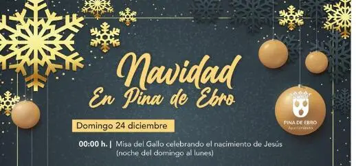 Programaci&oacute;n Pina de Ebro