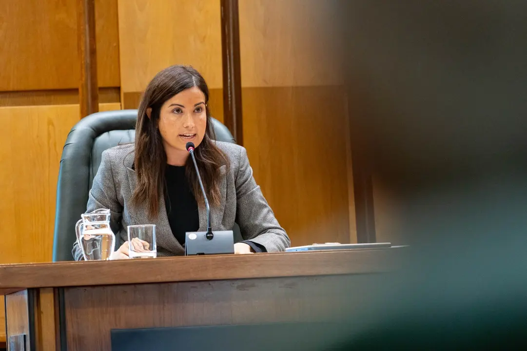 La consejera de Meido Ambiente y Movilidad, Tatiana Gaudes / AZ