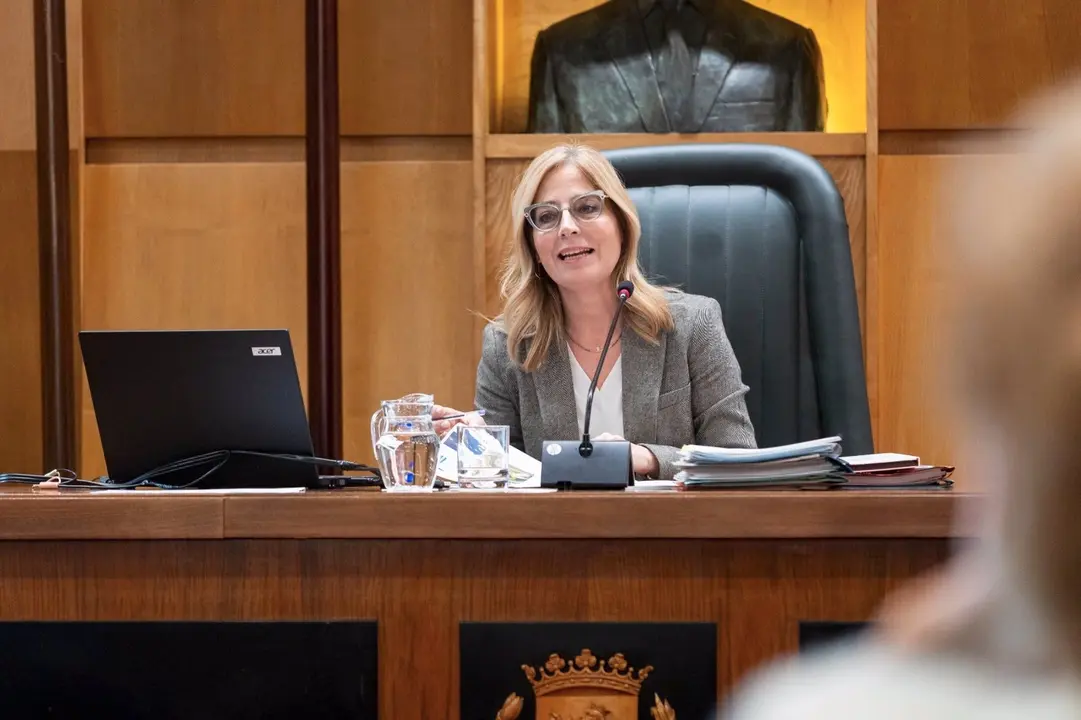 La consejera municipal de Hacienda y Fondos Europeos, Blanca Sol&aacute;ns
MIGUEL G. GARC&Iacute;A