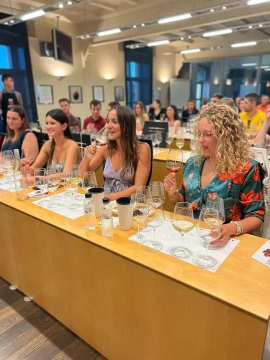 Festival Vino Somontano