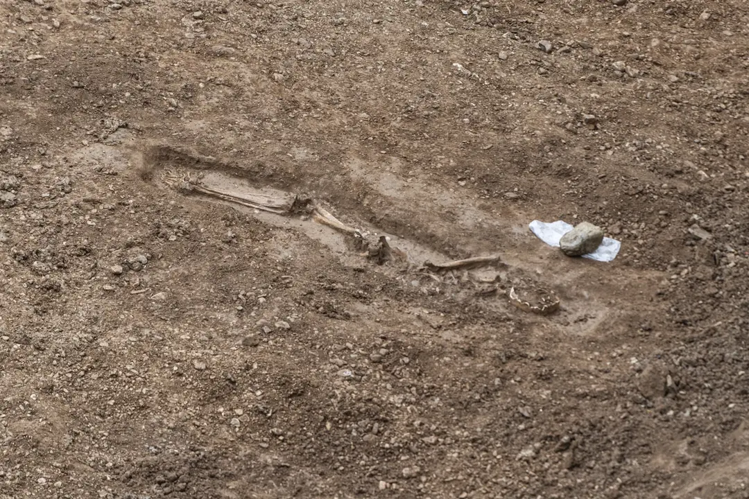 Restos de esqueletos en el cementerio musulm&aacute;n hallado durante unas excavaciones en el centro de Zaragoza, a 19 de enero de 2024 /
Marcos Cebri&aacute;n / Europa Press