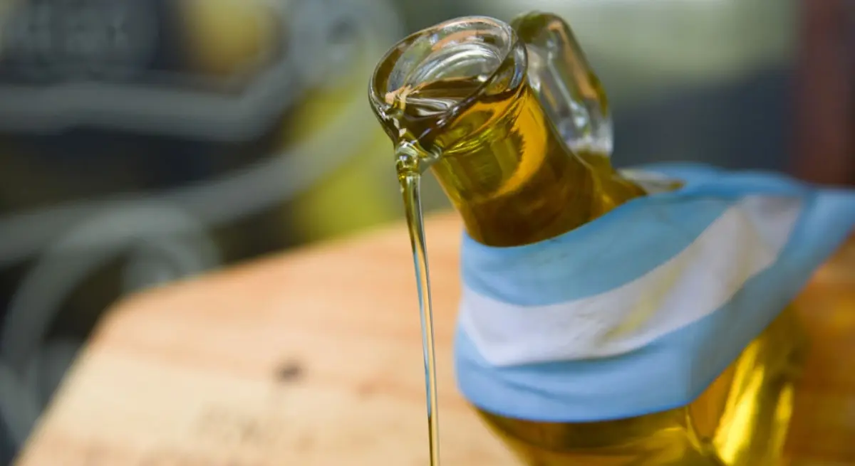 Argentina podr&iacute;a ser uno de los productores de aceite mejor valorados por su calidad