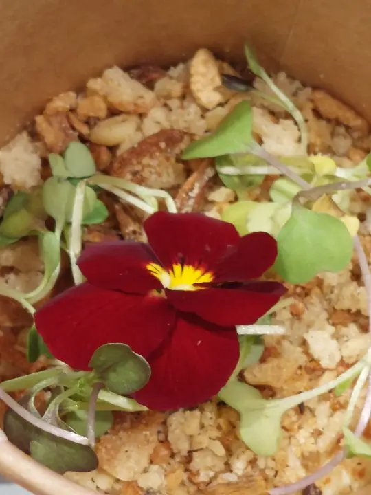 'La Flor de Cinco Villas' se present&oacute; el lunes en Madrid Fusi&oacute;n con productos de las Cinco Villas