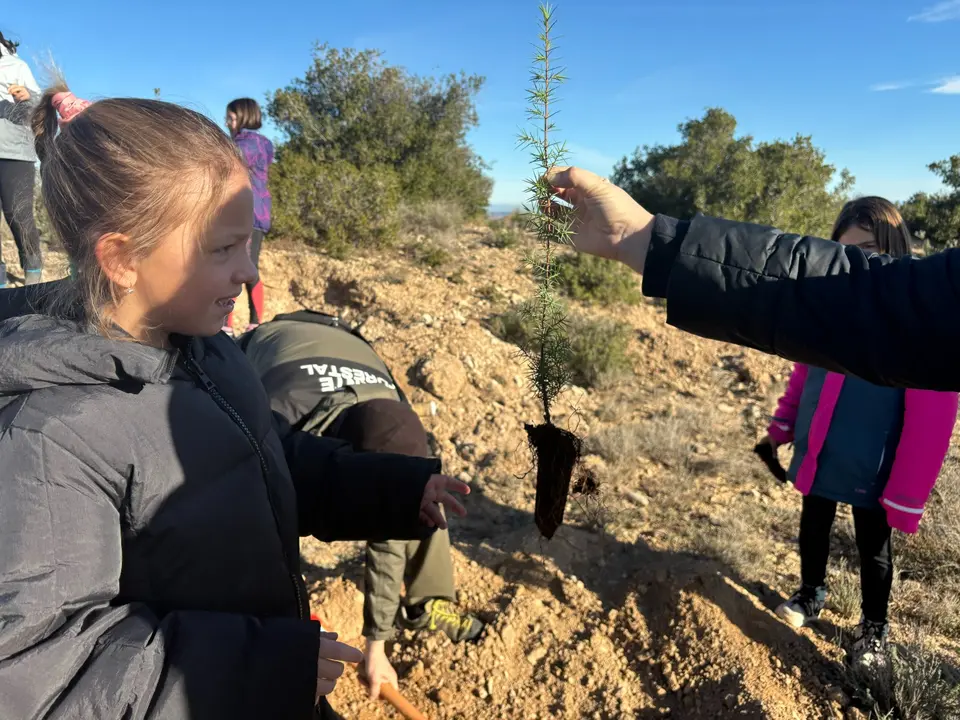 M&aacute;s de cien alumnos de Tarazona han repoblado el monte con especies aut&oacute;ctonas. / Ayuntamiento Tarazona