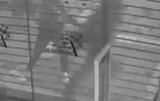 Imagen grabada por las c&aacute;maras del interior de una farmacia en el que se produce el apu&ntilde;alamiento de un joven pandillero /P.N.