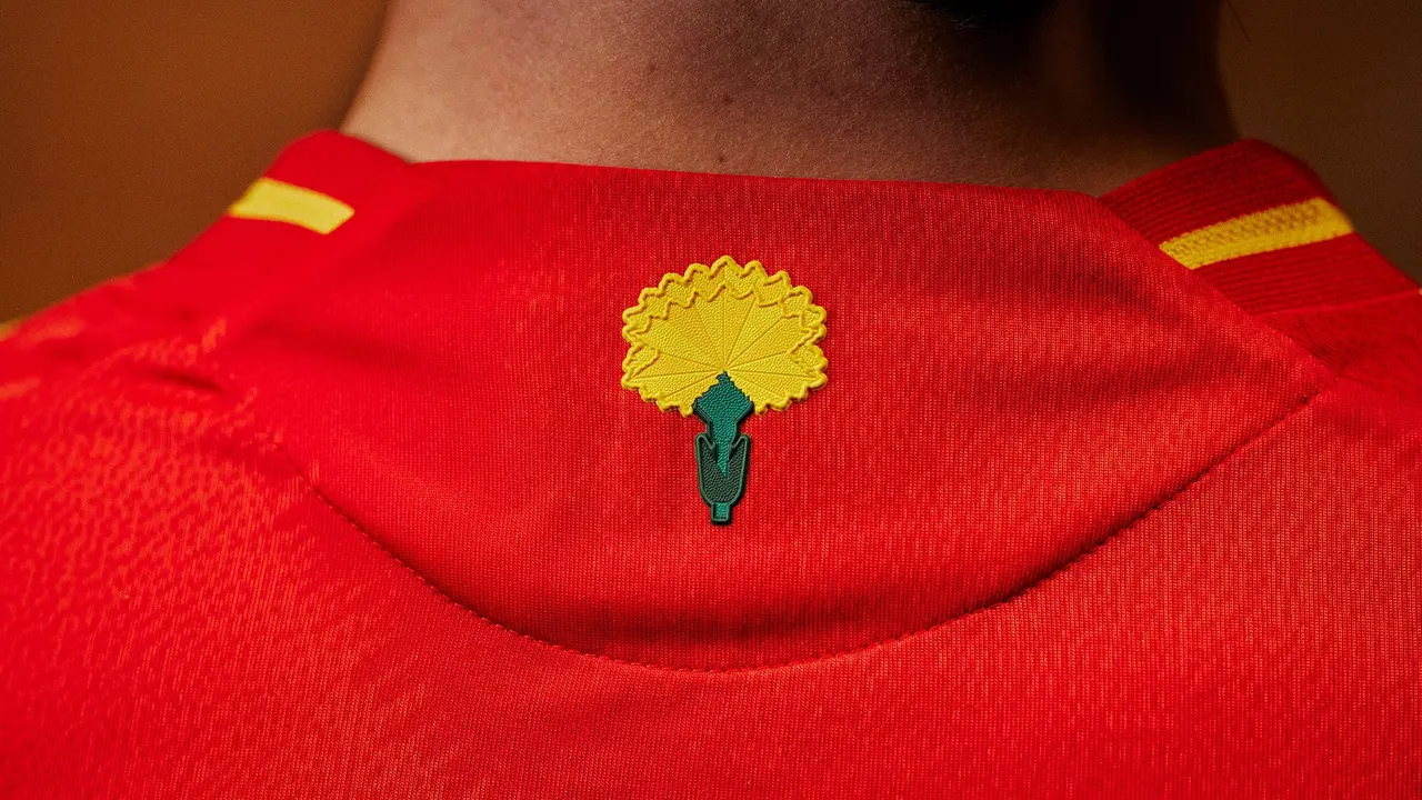 Camiseta de la Selecci&oacute;n Espa&ntilde;ola / RFEF