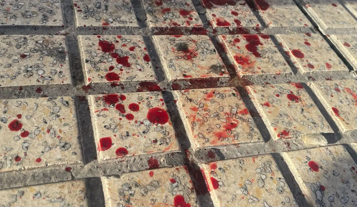 Imagen de las consecuencias de la pelea esta pasada madrugada en Conde Aranda /H.A.