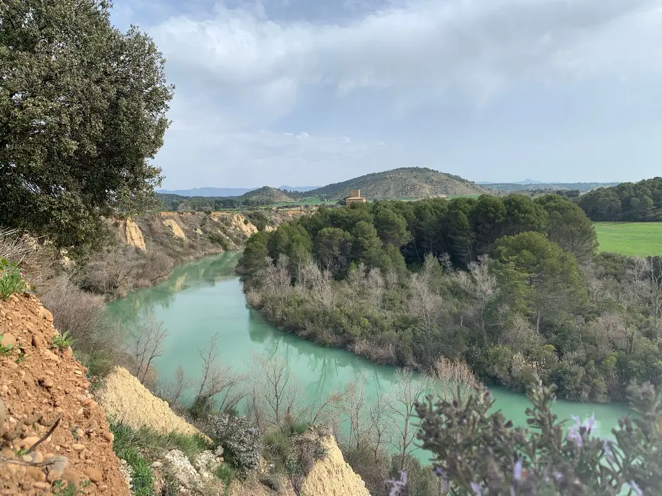 La ruta de Ardisa en las Cinco Villas.