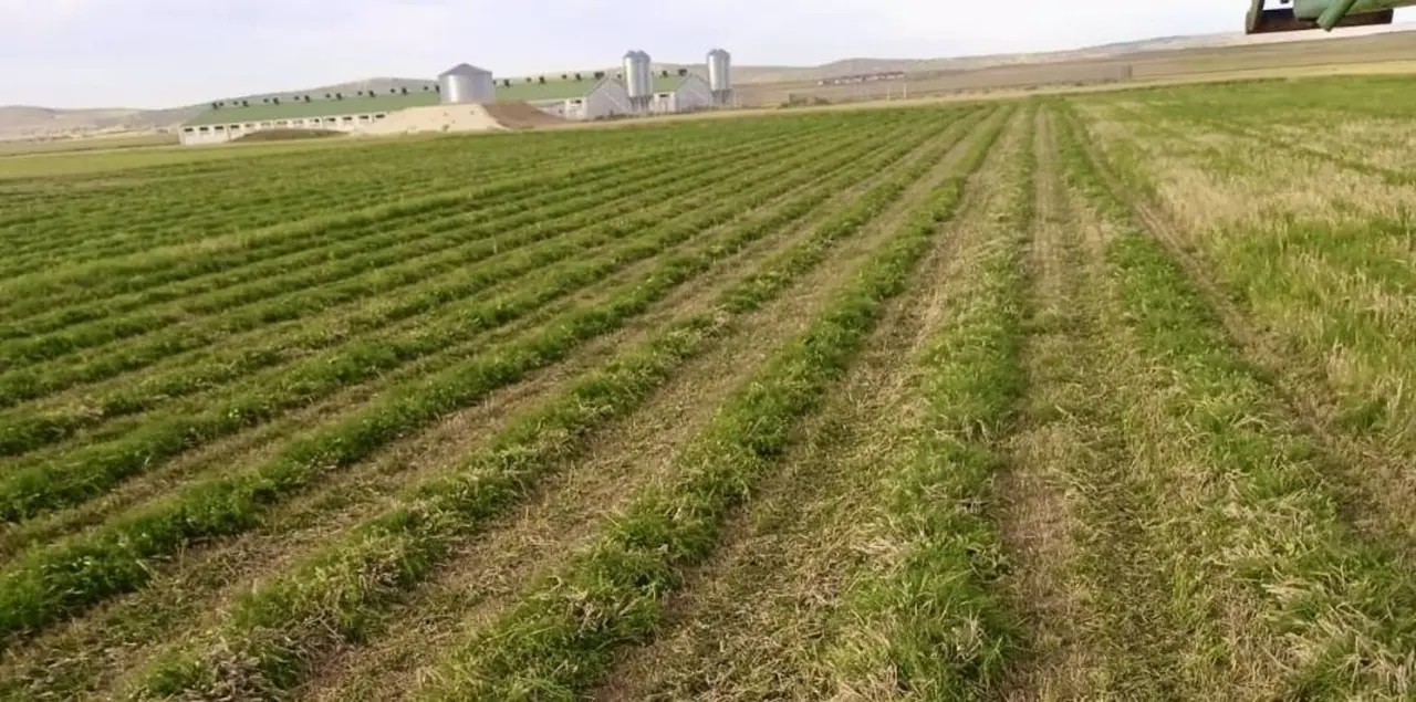 Campo de Arag&oacute;n / DGA