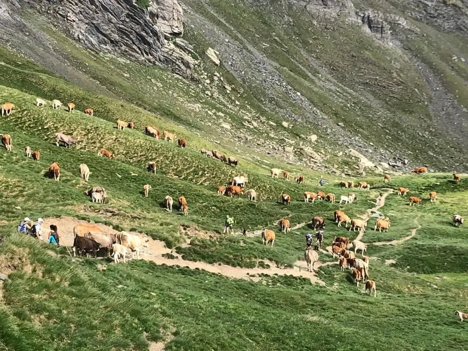 Foto DGA: Ganaderos valle de Broto