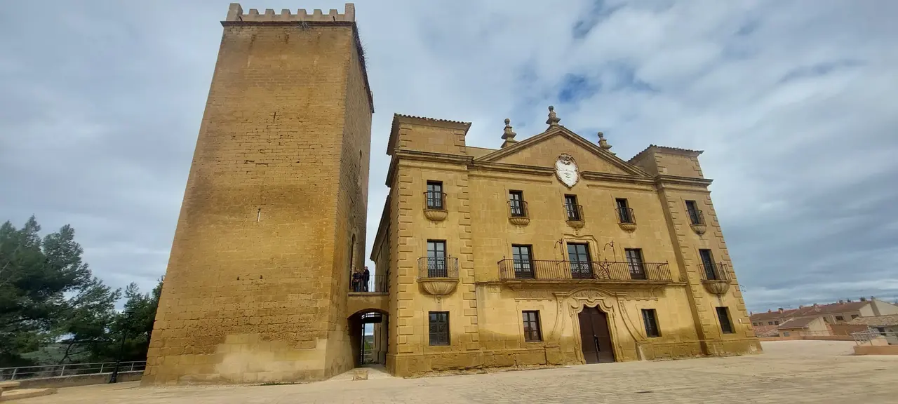 Torre&oacute;n y Palacio del Vizconde de Biota.