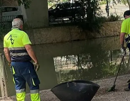 Imagen de los operarios de la limpieza del Ayuntamiento de Zaragoza. /H.A.