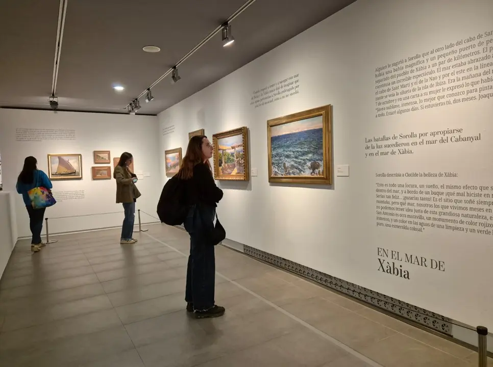 Exposici&oacute;n 'En el mar de Sorolla con Manuel Vicent' en el Museo Goya de Zaragoza. / L. V.