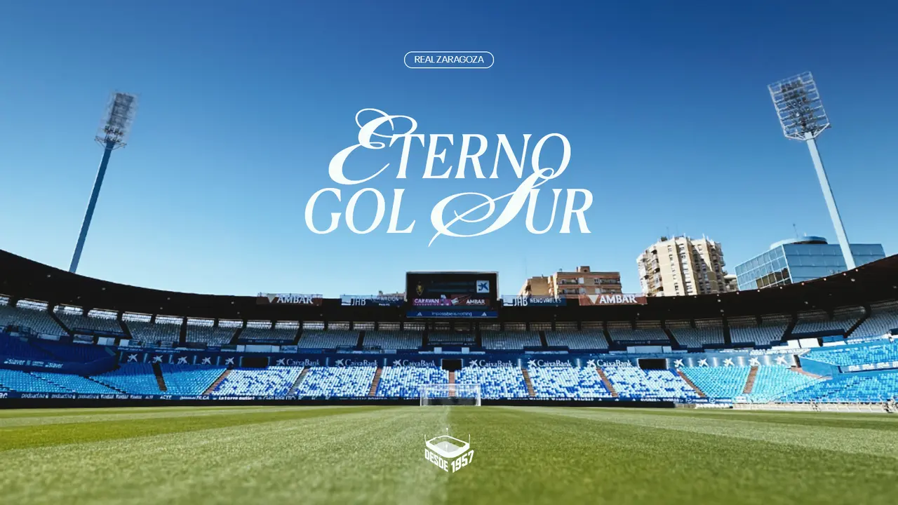 Gol Sur de La Romareda / REAL ZARAGOZA