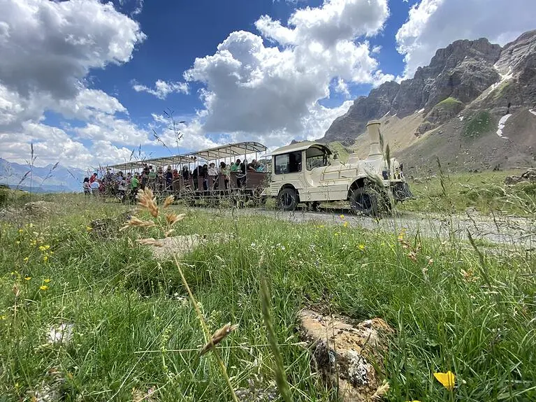 Tren Valle de Tena