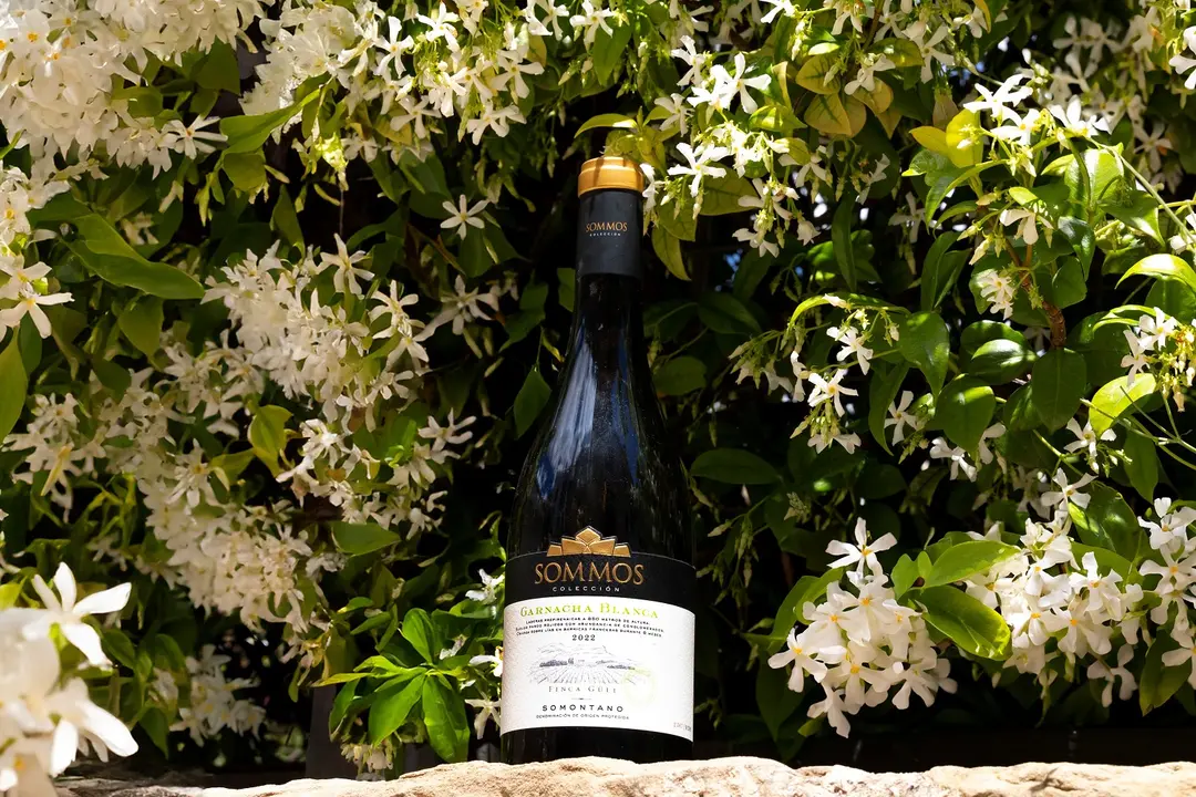 Sommos Colecci&oacute;n Garnacha Blanca triunfa en Bruselas