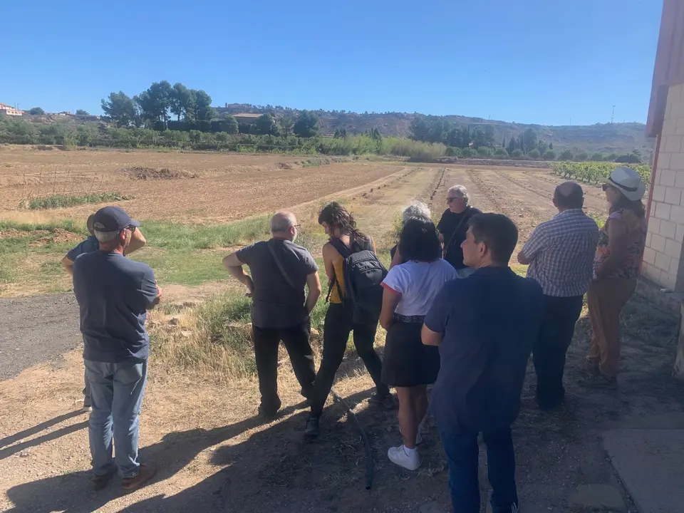 Visita de los impulsores del proyecto 'Olivos de Arag&oacute;n' a la finca experimental del CITA en Alca&ntilde;iz. / ADECOBEL