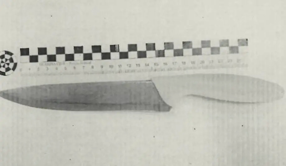 Imagen del cuchillo que utiliz&oacute; para intimidar a los guardias civiles /H.A.
