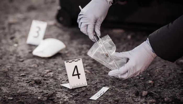 Estudiar criminolog&iacute;a en Zaragoza 
