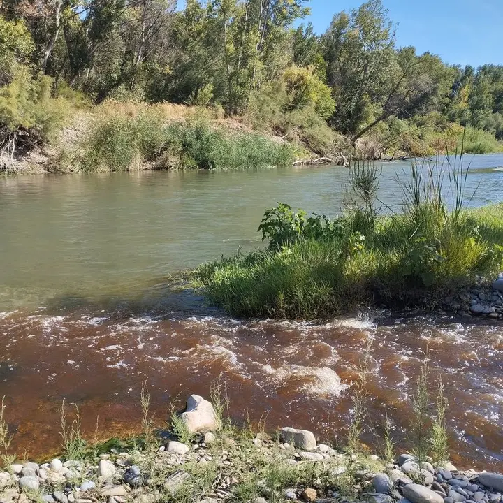 La contaminaci&oacute;n del G&aacute;llego se aprecia en el color y olor de sus aguas, consecuencia de los residuos de la empresa La Monta&ntilde;anesa