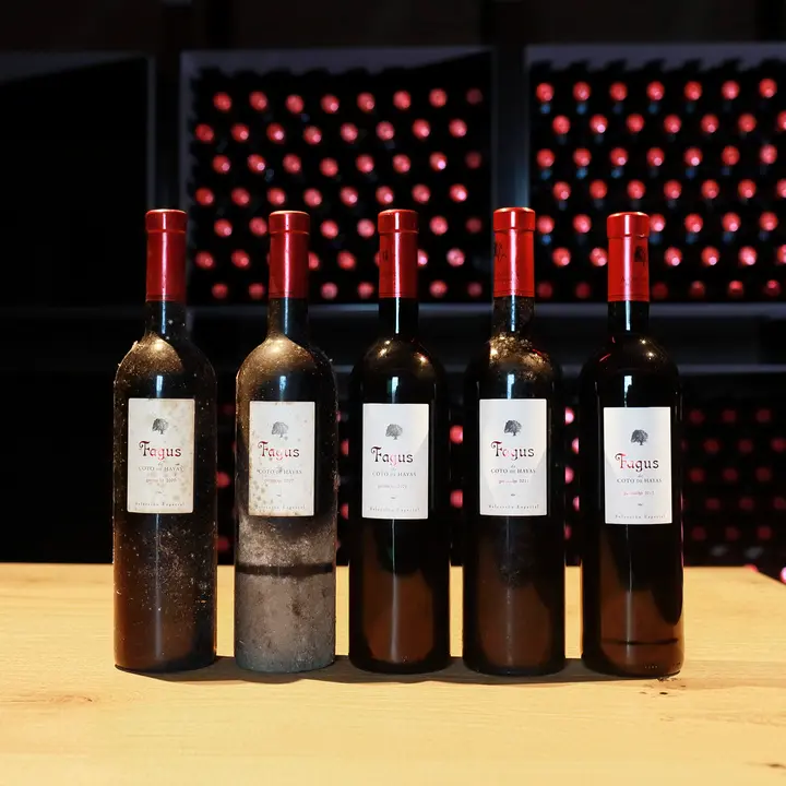 Bodegas Aragonesas celebra su 40 aniversario con una fiesta