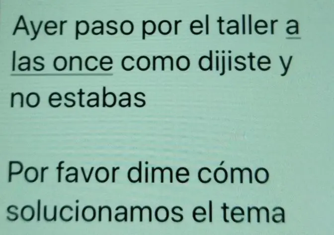 Imagen de parte de los mensajes mandados al taller por los due&ntilde;os del coche /H.A.