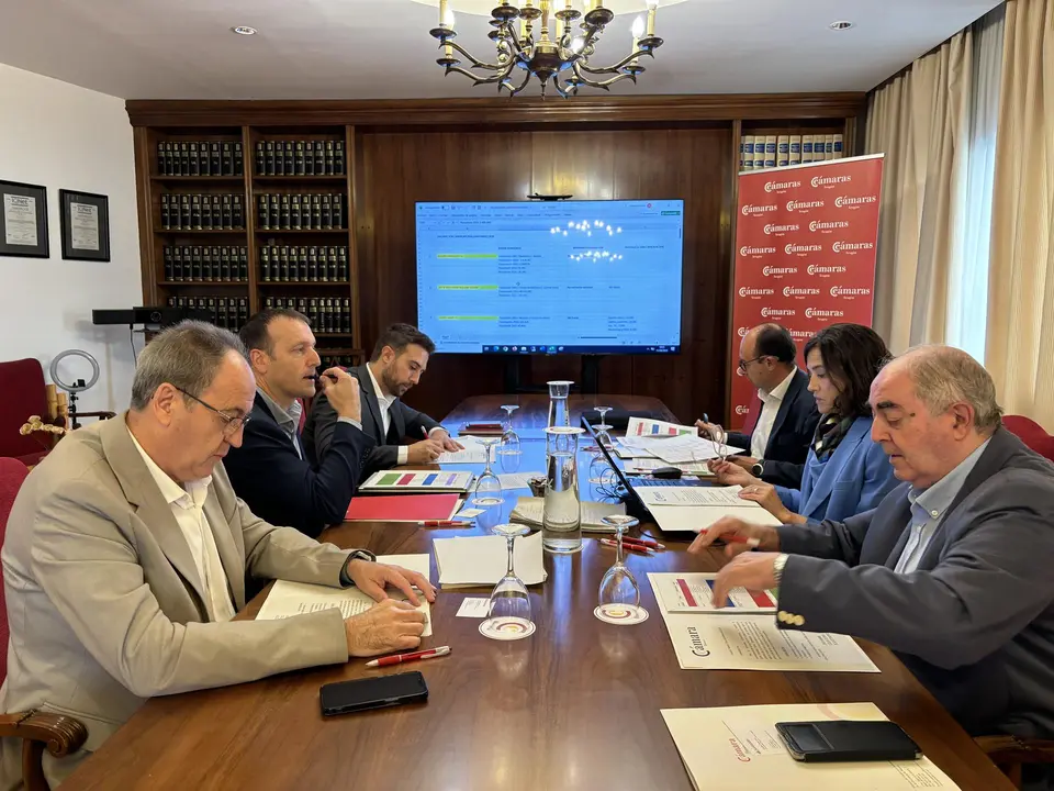 Reuni&oacute;n del jurado del Premio Pyme celebrada esta semana - C&Aacute;MARA DE HUESCA