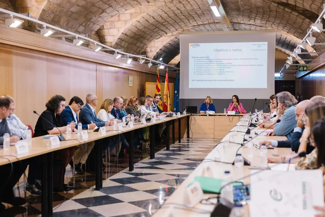 La consejera de Educaci&oacute;n, Cultura y Deporte del Gobierno de Arag&oacute;n, Tomasa Hern&aacute;ndez, reunida con el sector de la Educaci&oacute;n Infantil 0-3 en el Edificio Pignatelli. /DGA