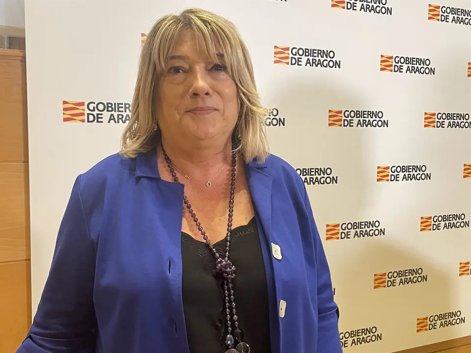 La consejera de Educaci&oacute;n, Cultura y Deporte del Gobierno de Arag&oacute;n, Tomasa Hern&aacute;ndez. / E.P.