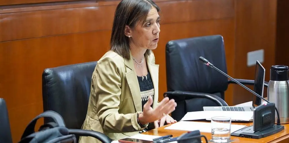 Ana G&oacute;mez, Interventora General, durante su comparecencia en la Comisi&oacute;n de Hacienda, Interior y Presupuestos del Gobierno de Arag&oacute;n.