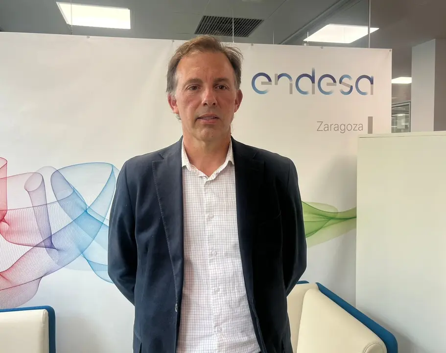 Manuel Mu&ntilde;oz Laguna, Endesa