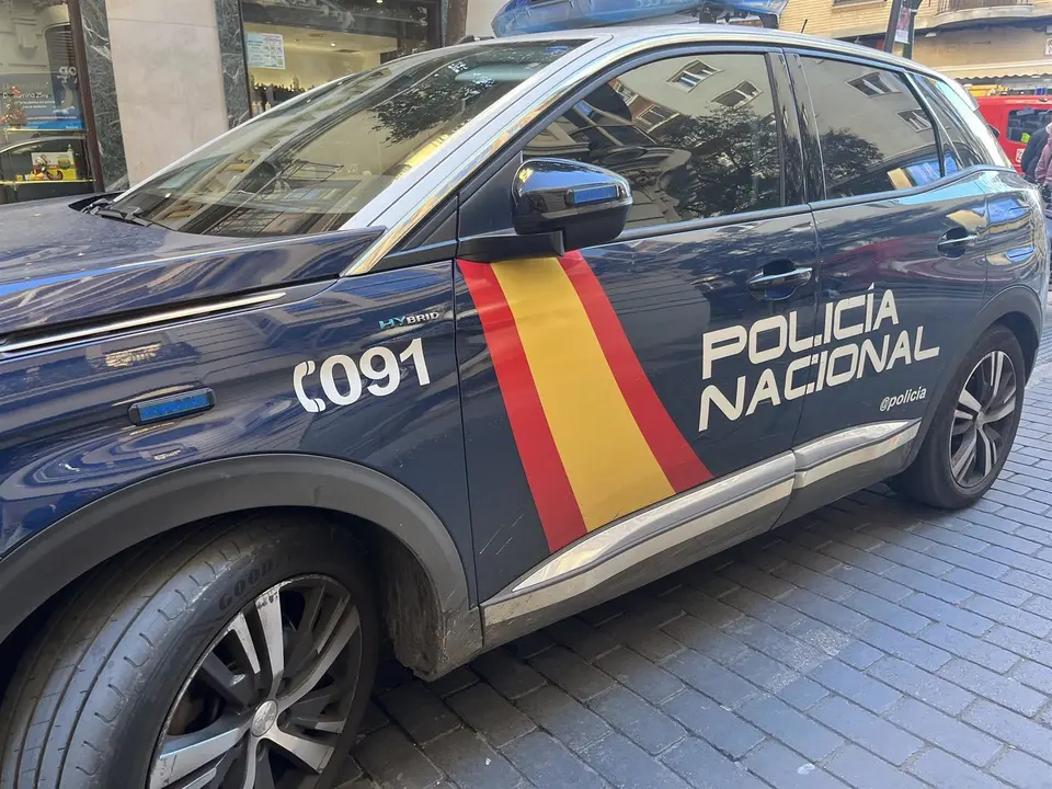 Coche de Polic&iacute;a Nacional. / E.P.