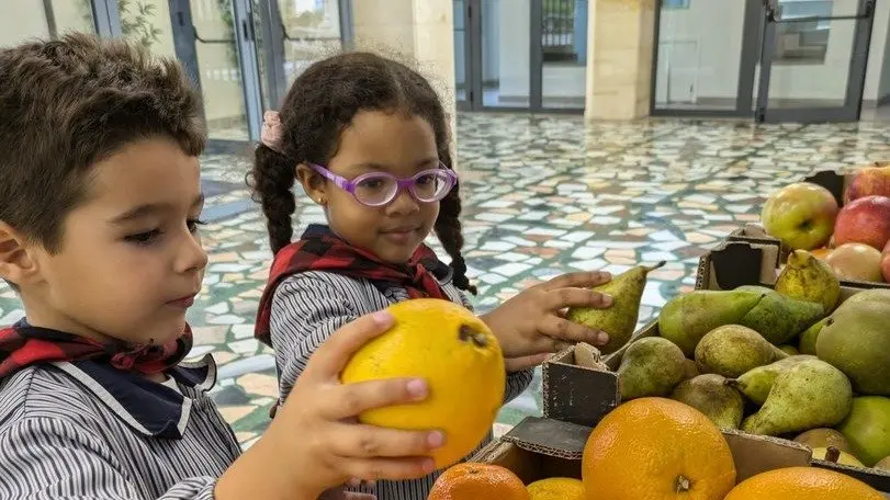 Ofrenda de Frutos en el colegio Escuelas P&iacute;as de Zaragoza. / HA