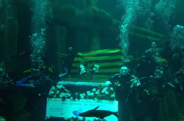 Ofrenda acu&aacute;tica en el acuario de Zaragoza