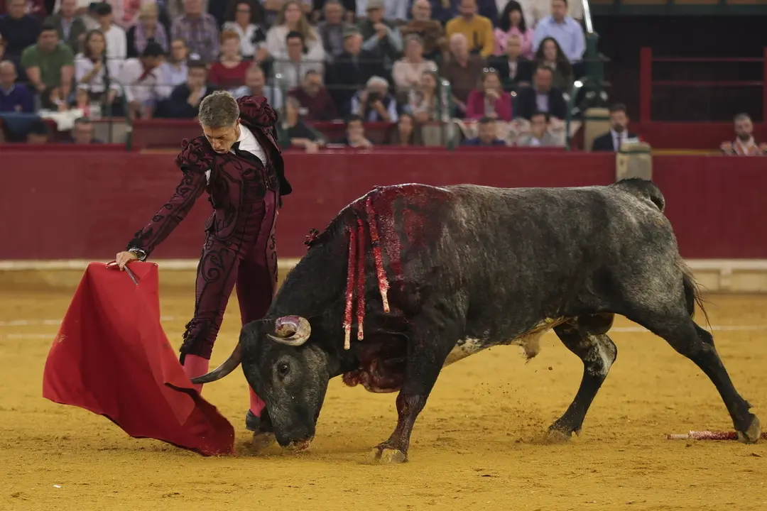 Manuel Escribano ante los miura