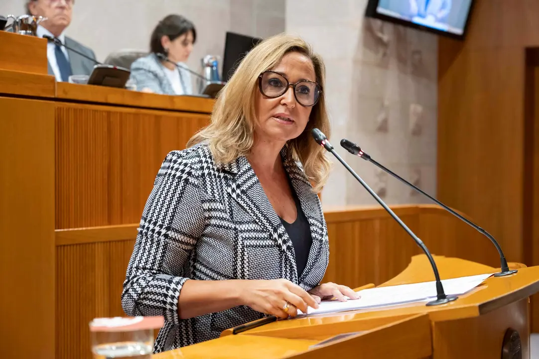 La portavoz socialista en Las Cortes, Mayte P&eacute;rez, en el turno de r&eacute;plica en el Debate sobre el estado de la Comunidad / PSOE Arag&oacute;n