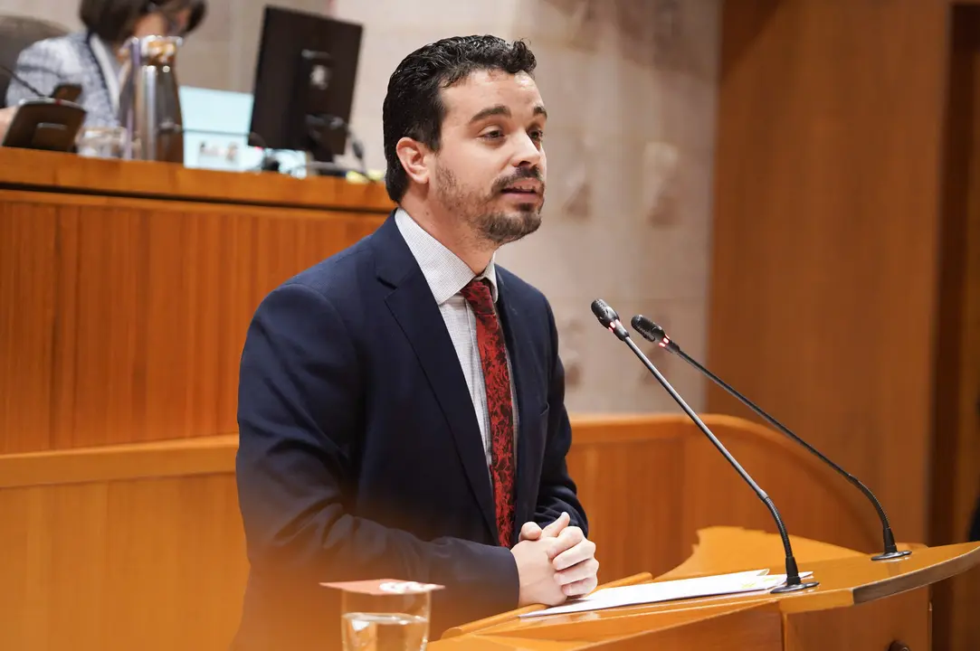 Dar&iacute;o Villagrasa, del PSOE, durante el pleno de este jueves